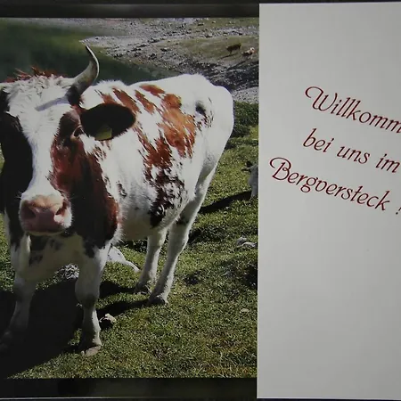 Bergversteck Διαμέρισμα Pfronten
